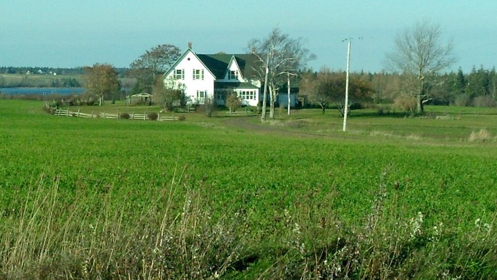 Lovely Green Gable Home Miscouche Экстерьер фото