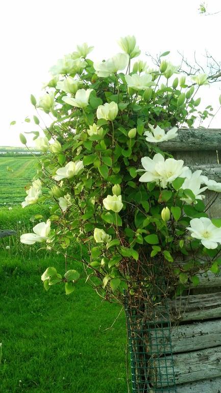 Lovely Green Gable Home Miscouche Экстерьер фото