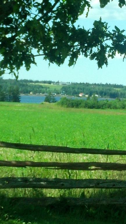 Lovely Green Gable Home Miscouche Экстерьер фото